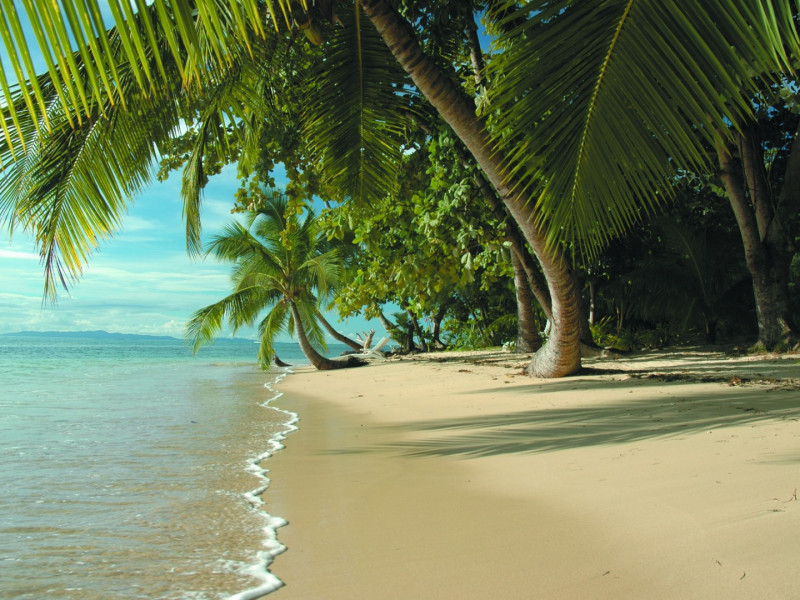 beach